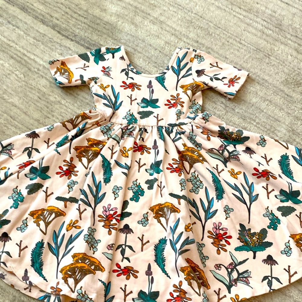 EUC Alice + Ames Herbal Study short sleeve ballet dress
